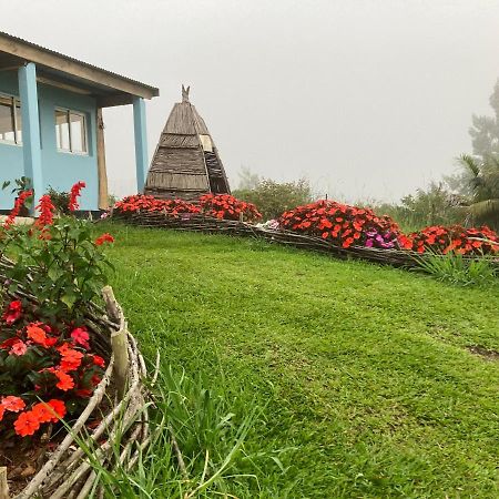 Bed and Breakfast Au Coeur De La Cascade Biberon Ла-Плен-де-Пальміст Екстер'єр фото