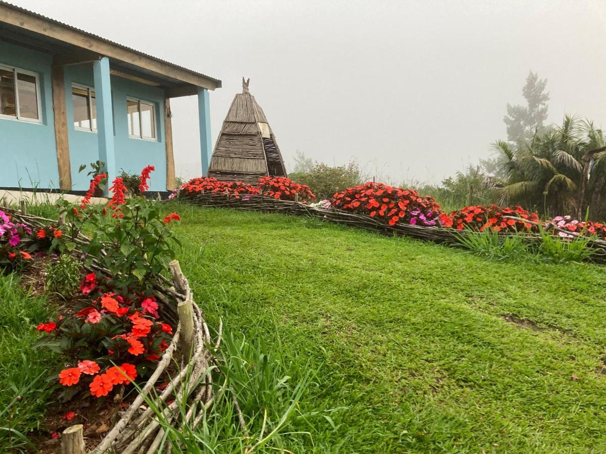 Bed and Breakfast Au Coeur De La Cascade Biberon Ла-Плен-де-Пальміст Екстер'єр фото